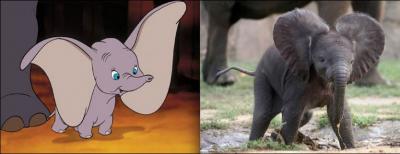 Un éléphant qui vole, c'est impossible vous croyez ? Pas pour Disney !