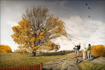 Quel nom porte cette oeuvre d'Erik Johansson ?