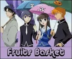 Que veut dire  Fruits basket  ?