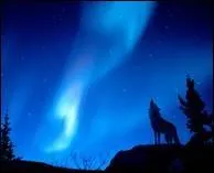 Quel sport vont pratiquer les personnages dans la saison 3 ?