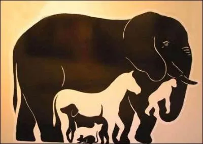 Combien y a-t-il d'animaux dans cette image ?