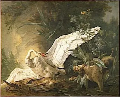 Epagneul attaquant un cygne.