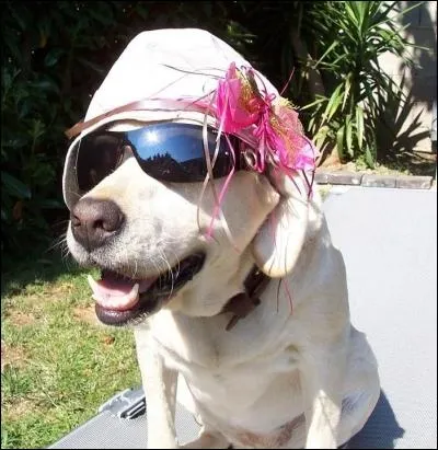 En quel sicle a-t-on invent les lunettes correctives ?
