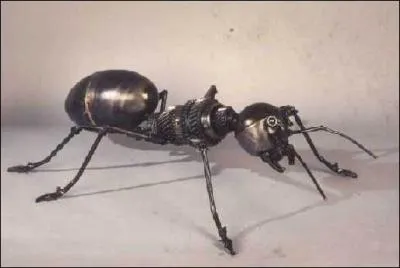 Que cultivent les fourmis saubas pour se nourrir ?