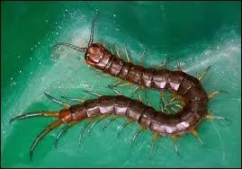 Par quel nom me dsigne-t-on ?