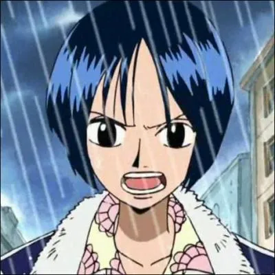 Pourquoi Zoro a-t-il t choqu la premire fois qu'il a vu Tashigi ?