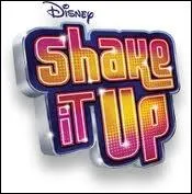 Quelles actrices jouent dans Shake It Up ?