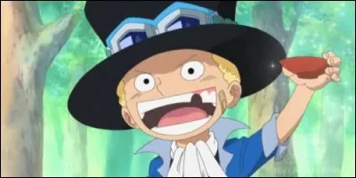 Où vit Sabo, frère de Luffy et de Ace ?