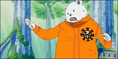 D'où vient Bepo, navigateur de Trafalgar Law ?