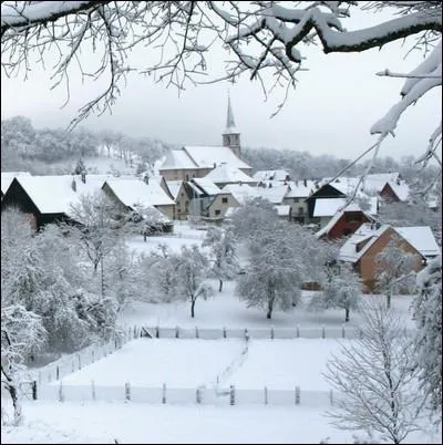 Si ... ... . . est sous la neige, la rcolte se protge.