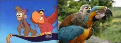Je vais abuser encore un peu en vous demandant le nom de ce petit singe, compagnon d'Aladin !