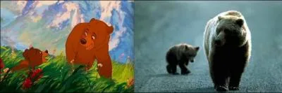 Dans le film  Fr�re des ours , ce jeune indien se transforme lui-m�me en ours, comment s'appelle-t-il ?