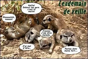 Les lendemains de veille ou de ftes, les poches sous les yeux apparaissent et finissent par s'installer. Comment nomme-t-on l'intervention qui permet de les supprimer ?