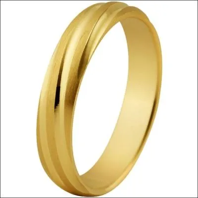 Mon second est une bague sans ornement ou une plante des lieux humides :