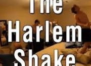 Quiz Harlem shake
