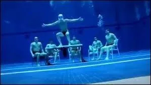 Par qui a t compos le  Harlem shake  ?