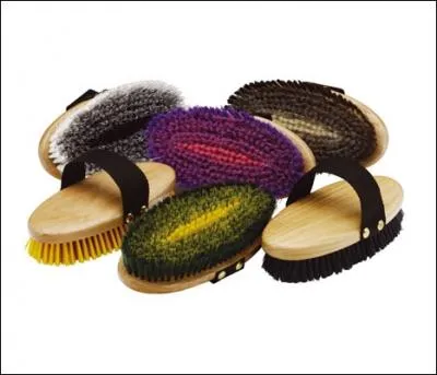 Quel est ce matriel de pansage ?