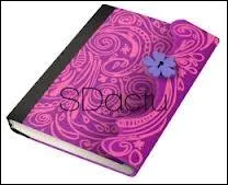 Quel est l'objet le plus prcieux pour Violetta ?