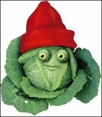 Si vous avez entirement chou  ce quiz !