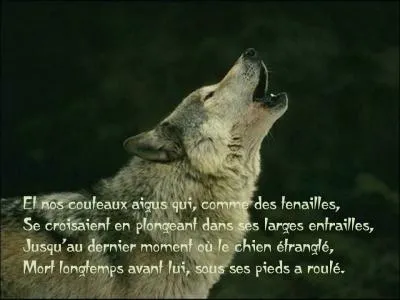Qui a crit  La mort du Loup  ?