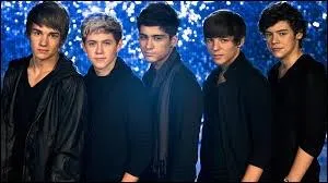Quel One Direction a la phobie des cuillres ?