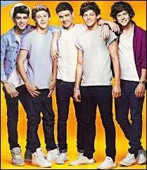 Quel est titre de la chanson qu'ils ont reprise du groupe Blondie ?