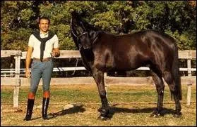 Pourquoi est-il mort ?