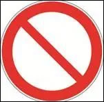 Depuis le 11 mars 2013, qu'est-ce que l'Union Européenne a décidé d'interdire définitivement ?