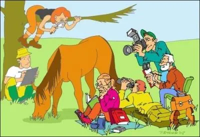 Qu'est-ce que l'éthologie ?