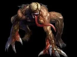 Quelle sorte d'infects y a-t-il dans l'glise ?