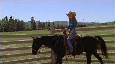 Comment s'appelle le cheval qui n'obit qu' la voix ?