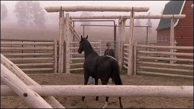 Quel est le cheval de course qui a t traumatis suite  un incendie ?