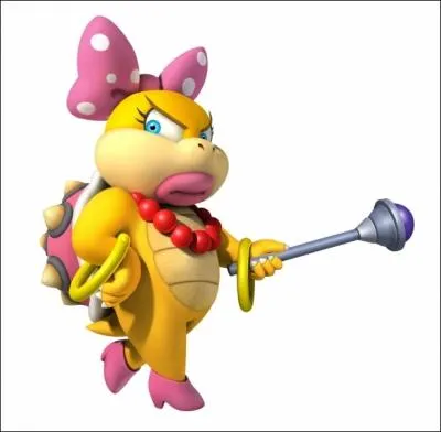 Quel est son rapport avec Bowser ?