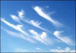Que sont ces nuages élevés, séparés et blancs que l'on voit entre 6 et 12 km d'altitude ?
