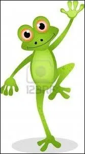 Que mesure-t-on avec un Nivomtre ?