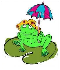 Qu'est-ce qu'une averse ?