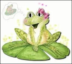 Qu'est-ce que la bruine ?