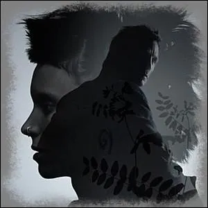 Pour terminer, qui joue dans le trs noir  Millnium, les hommes qui n'aimaient pas les femmes , sorti en 2011 ?