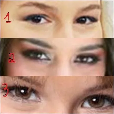Quels sont les yeux de Vanessa Hudgens ?
