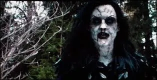 Ce film est adapt d'un conte de fe qu'il a compltement dtourn, mais de quel conte de fe s'agit-il ?