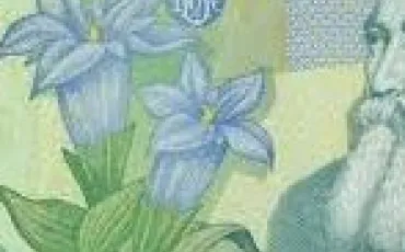 Quiz Monnaie