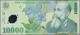 Quelle monnaie est en cours en Roumanie :