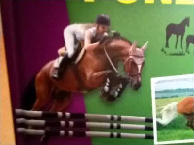 Quelle est cette discipline ?