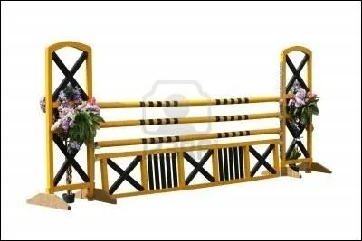 Quel est cet obstacle ?