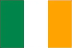 Un des One Direction est d'origine irlandaise. Lequel ?