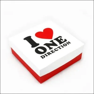 Comment appelle-t-on les fans des One Direction ?