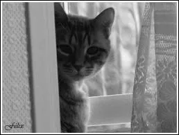  alors comme a tu t'en vas, notre pendule peut s'arrter, le chat peut te chercher partout, tu t'en fous  :