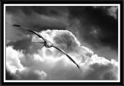  Partir avant les miens  :