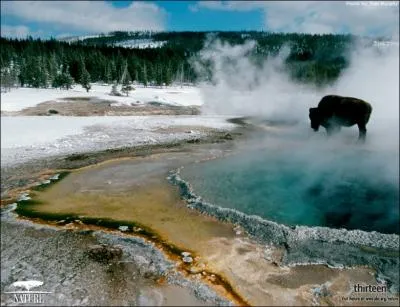 Le parc de Yellowstone , est un parc de :