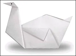 Il peut être tuberculé, blanc, et même noir, on dit qu'il trompette !